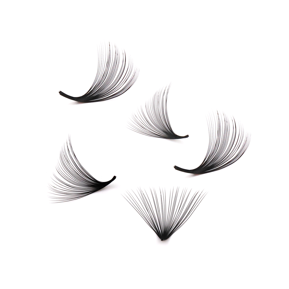 Ventagli prefabbricati fatti a - Eyelash Extension Medium recensione e prezzo