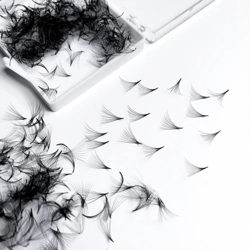 500 ventagli fatti a mano alle - Eyelash Extension Medium recensione e prezzo